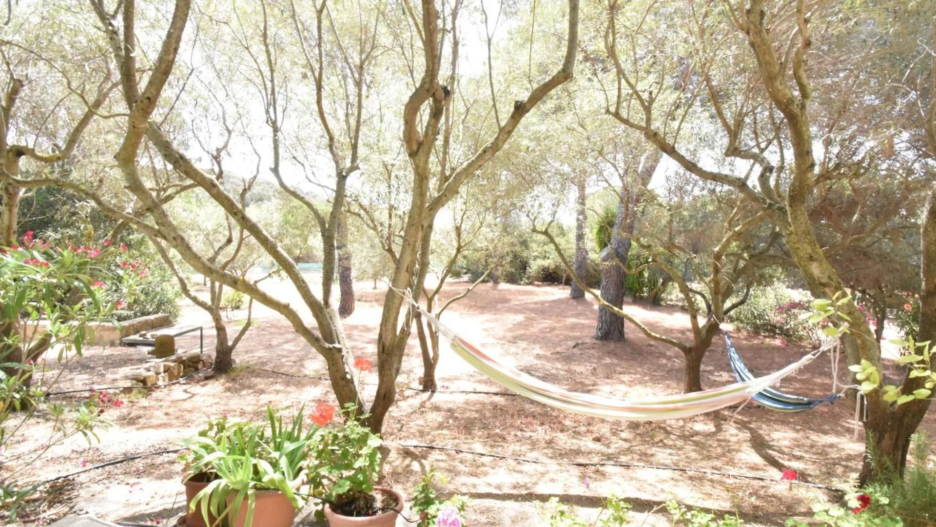 Holiday home Casa Vacanze Il Bouganville Chia
